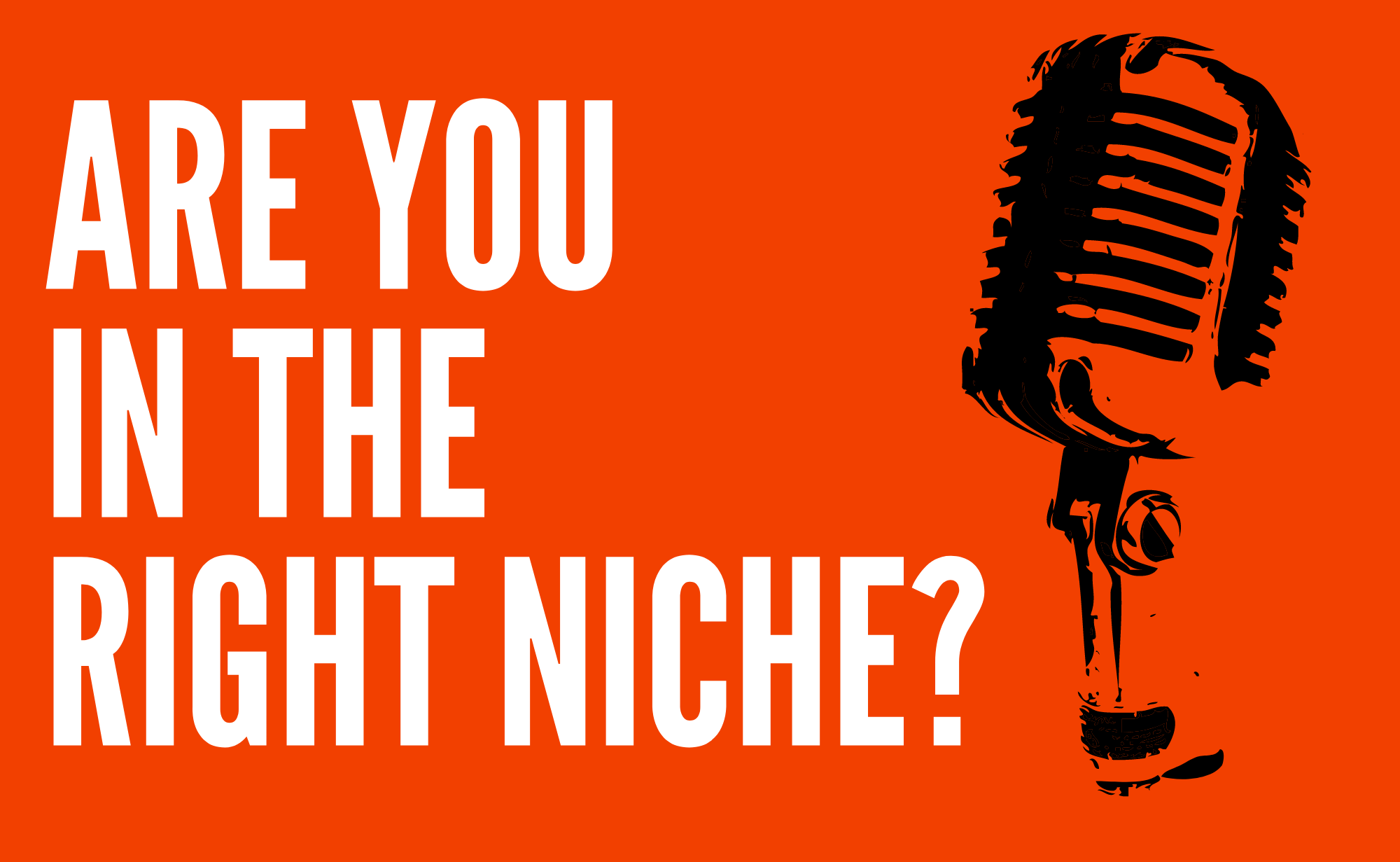 are-you-in-the-right-niche-after-the-pitch